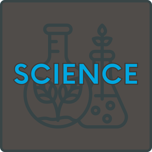 Click here to learn more about our Science curriculum!