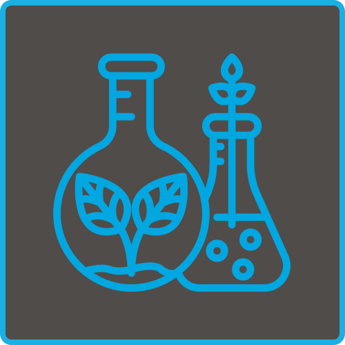 Click here to learn more about our Science curriculum!